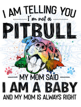 Load image into Gallery viewer, Pitbull baby
